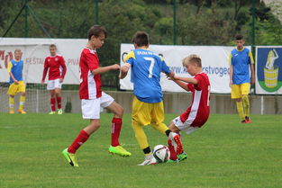 爱游戏电竞官网-塞尔维亚实力不断提升，期待在国际大赛中突破