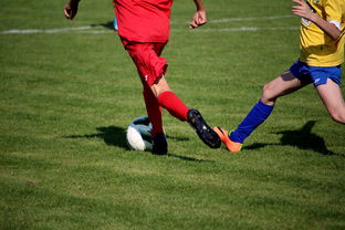 爱游戏官网-男篮国家队专项安排外线射手训练增强火力输出，男篮外援